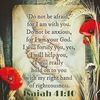 gracefulg23